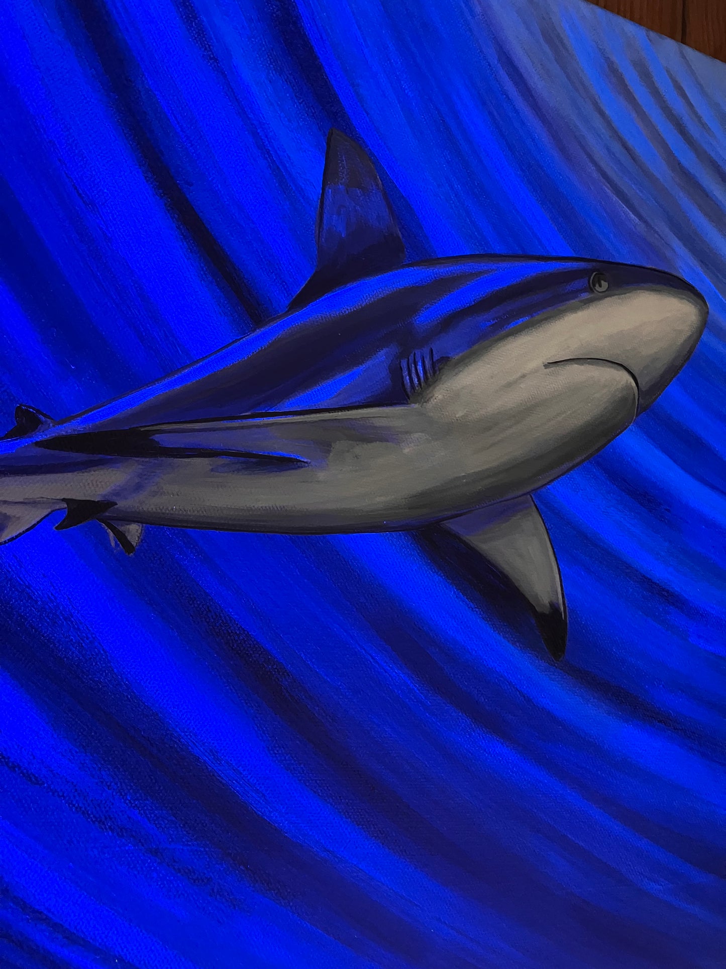 Shark painting up close