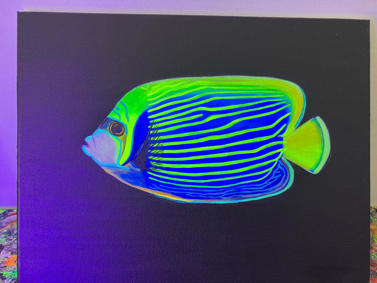 Angelfish black light painting