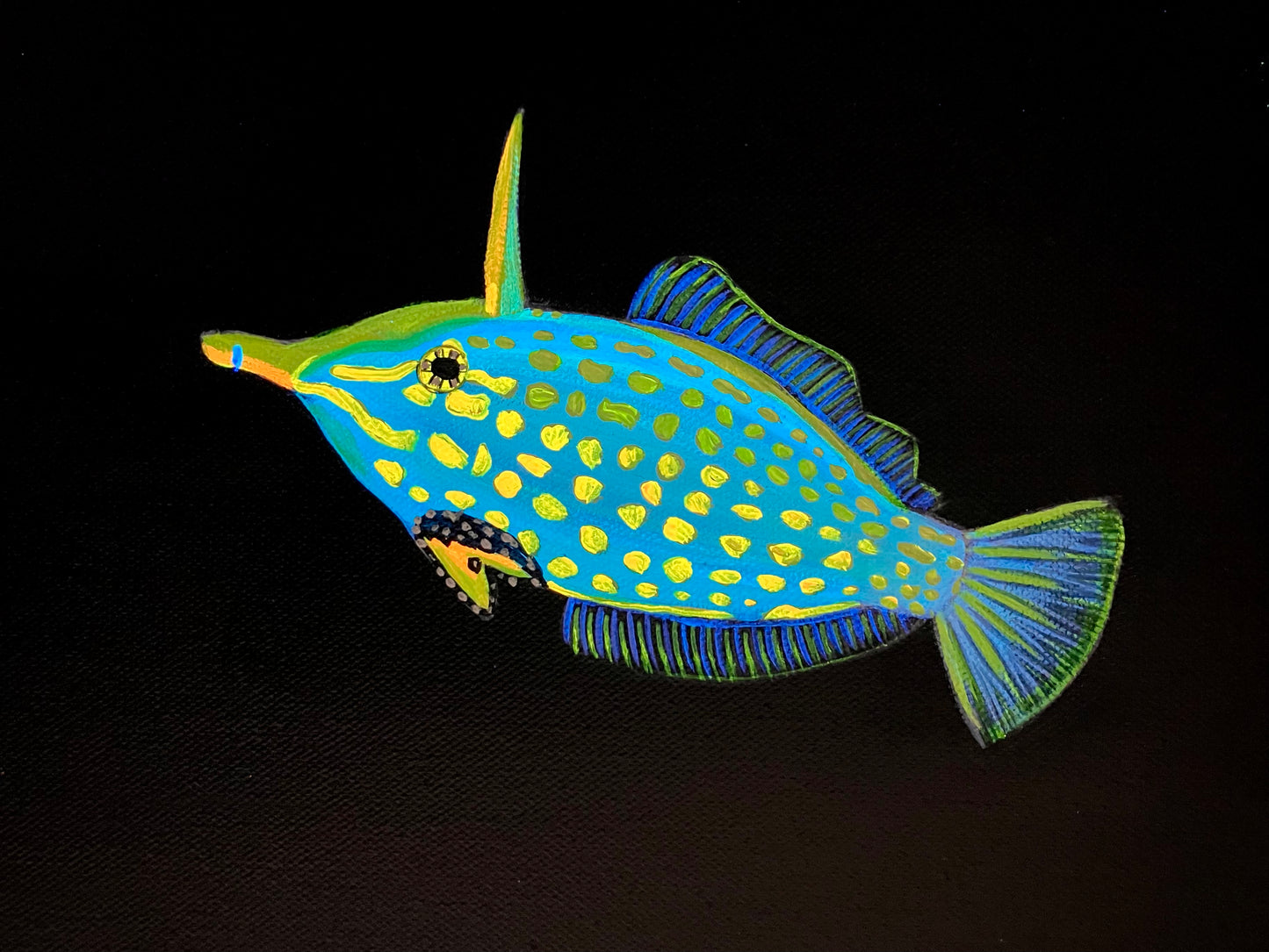 Orange spotted filefish painting