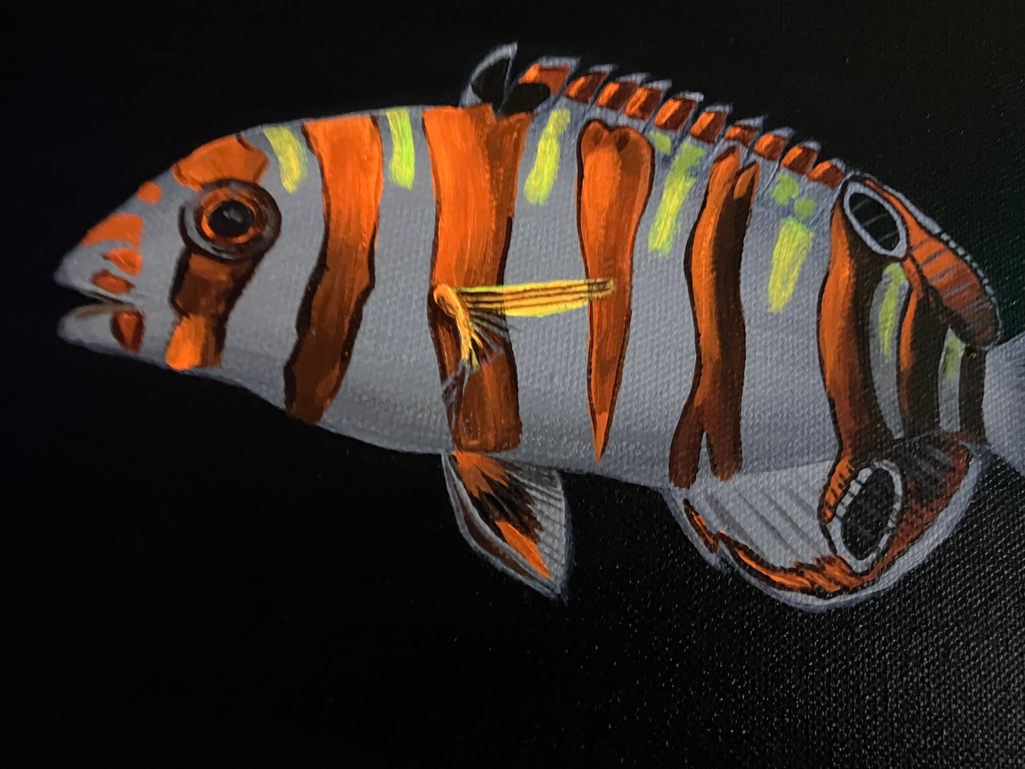 Harlequin Tusk Fish painting