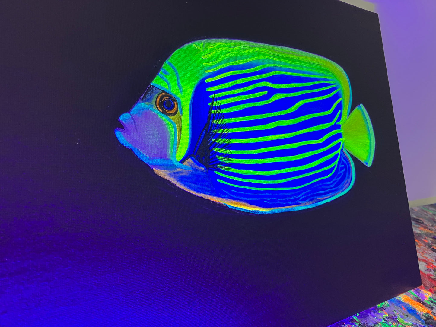 Angelfish black light painting