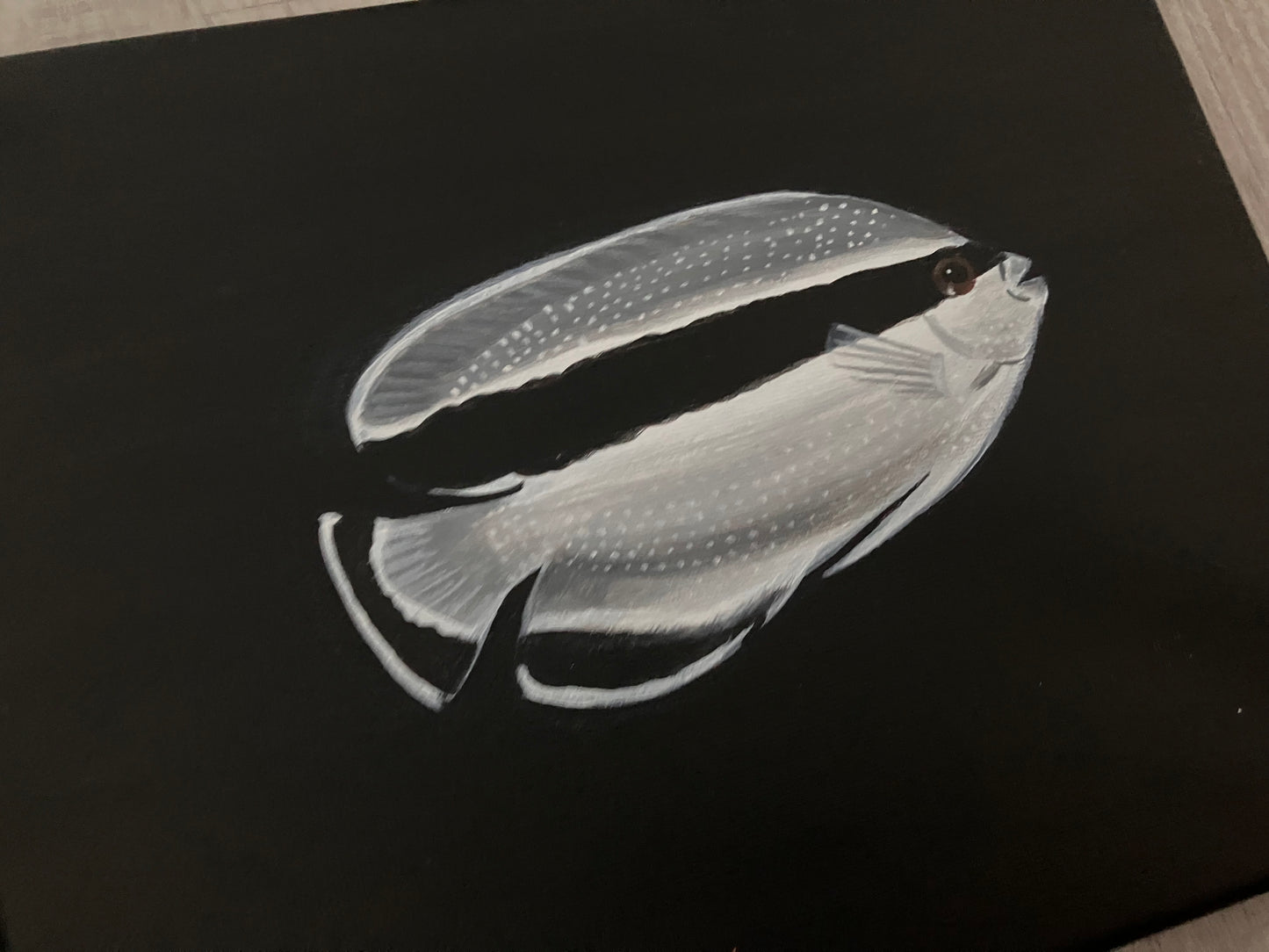 Banded angelfish painting