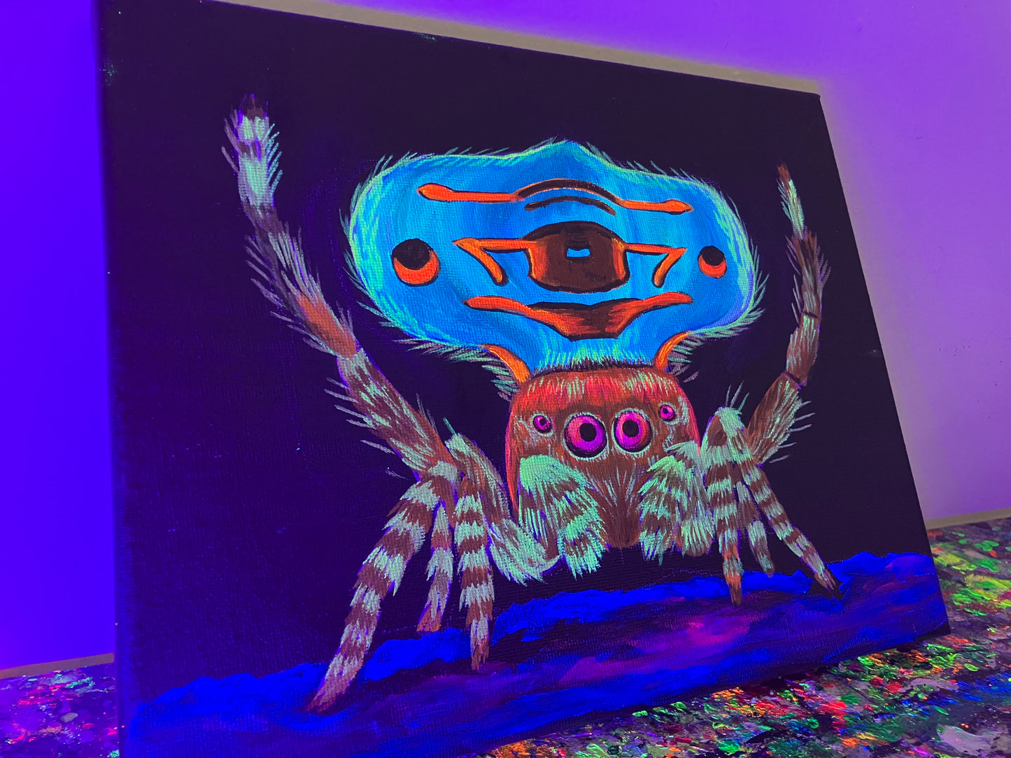 Peacock jumping spider painting
