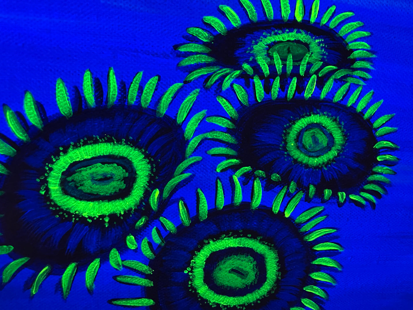 Black light zoanthid painting