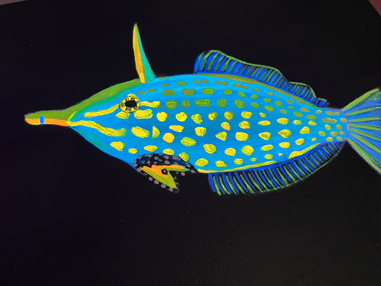 Orange spotted filefish painting