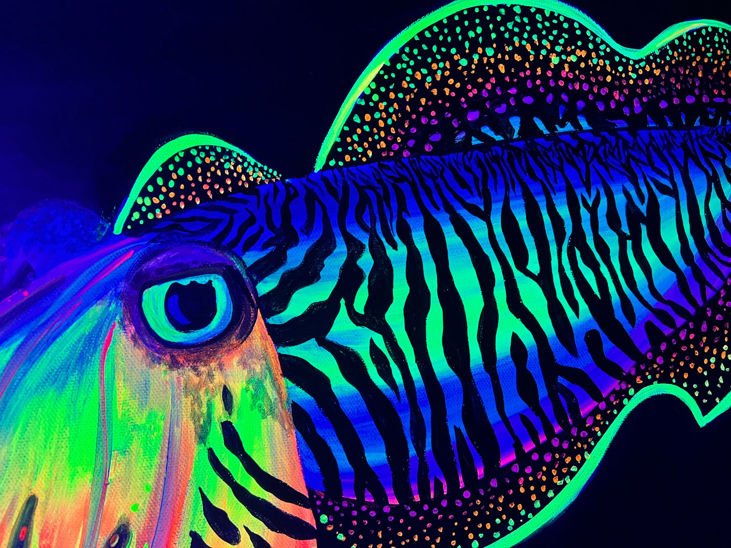 Blacklight Cuttlefish painting