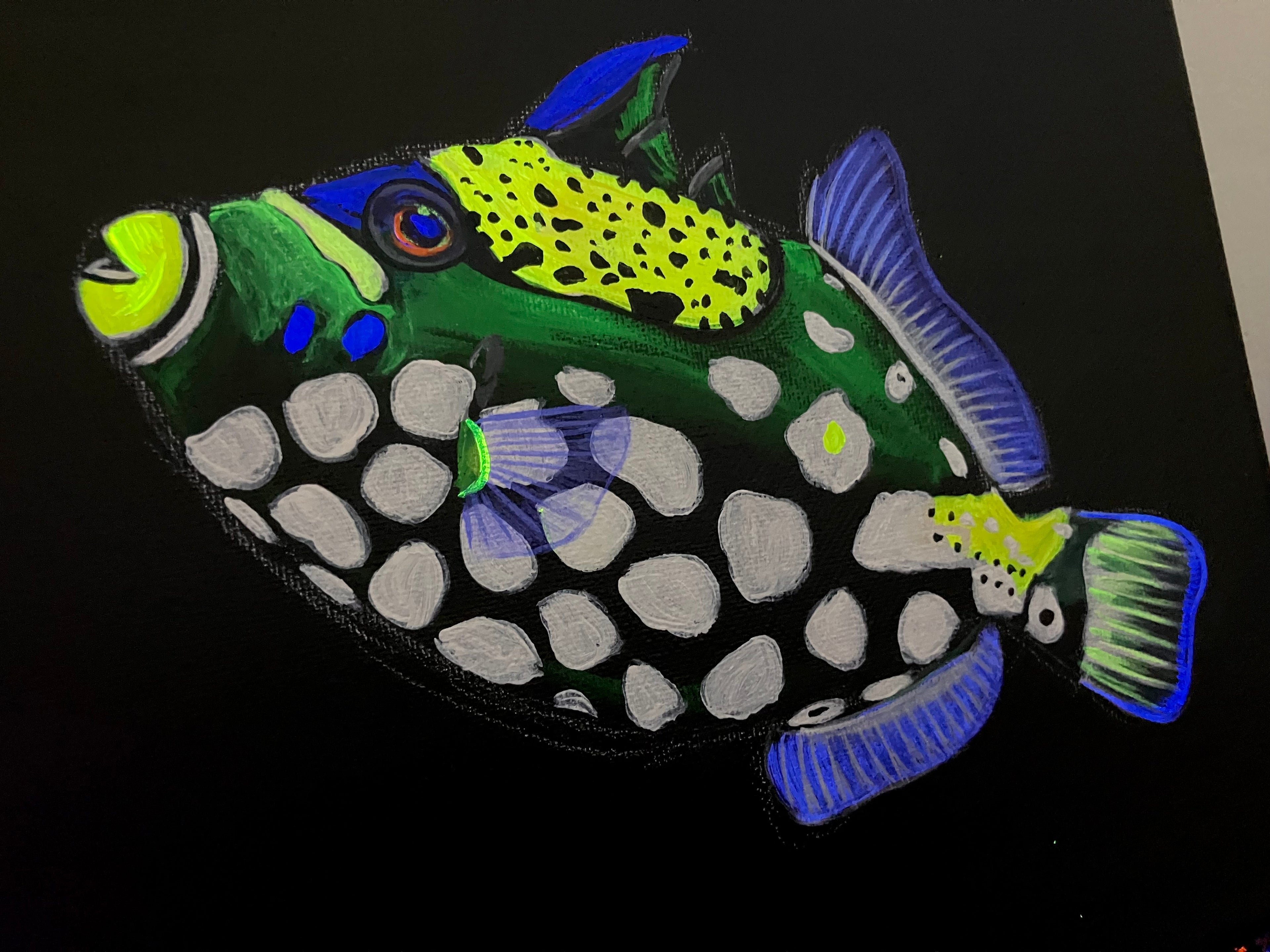 Up close clown triggerfish 