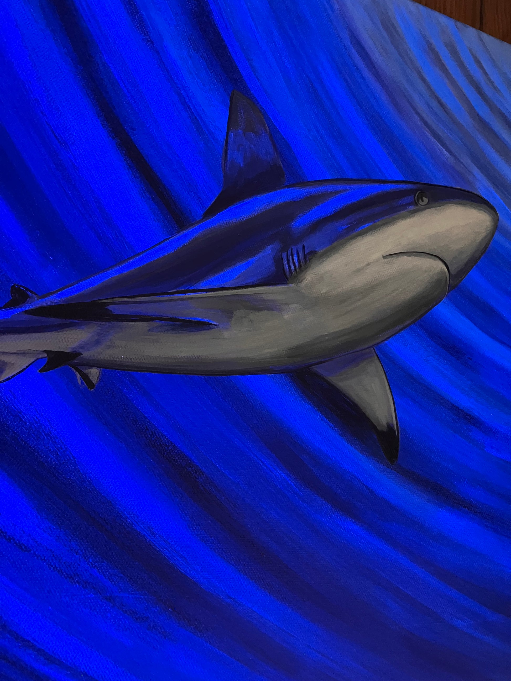 Shark painting up close 