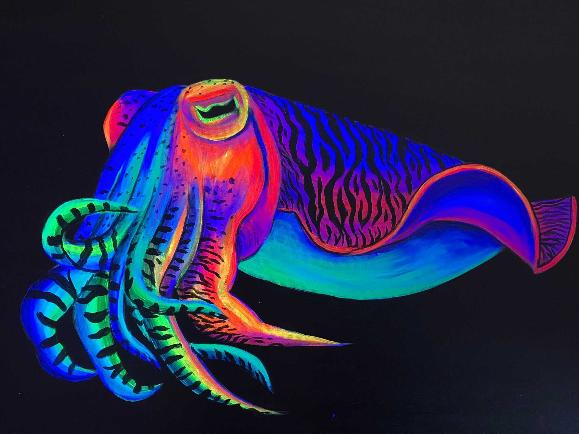 Cuttlefish art