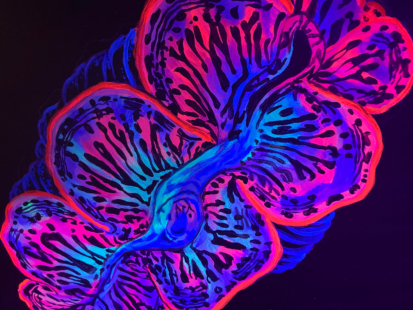 Maximus Clam black light painting