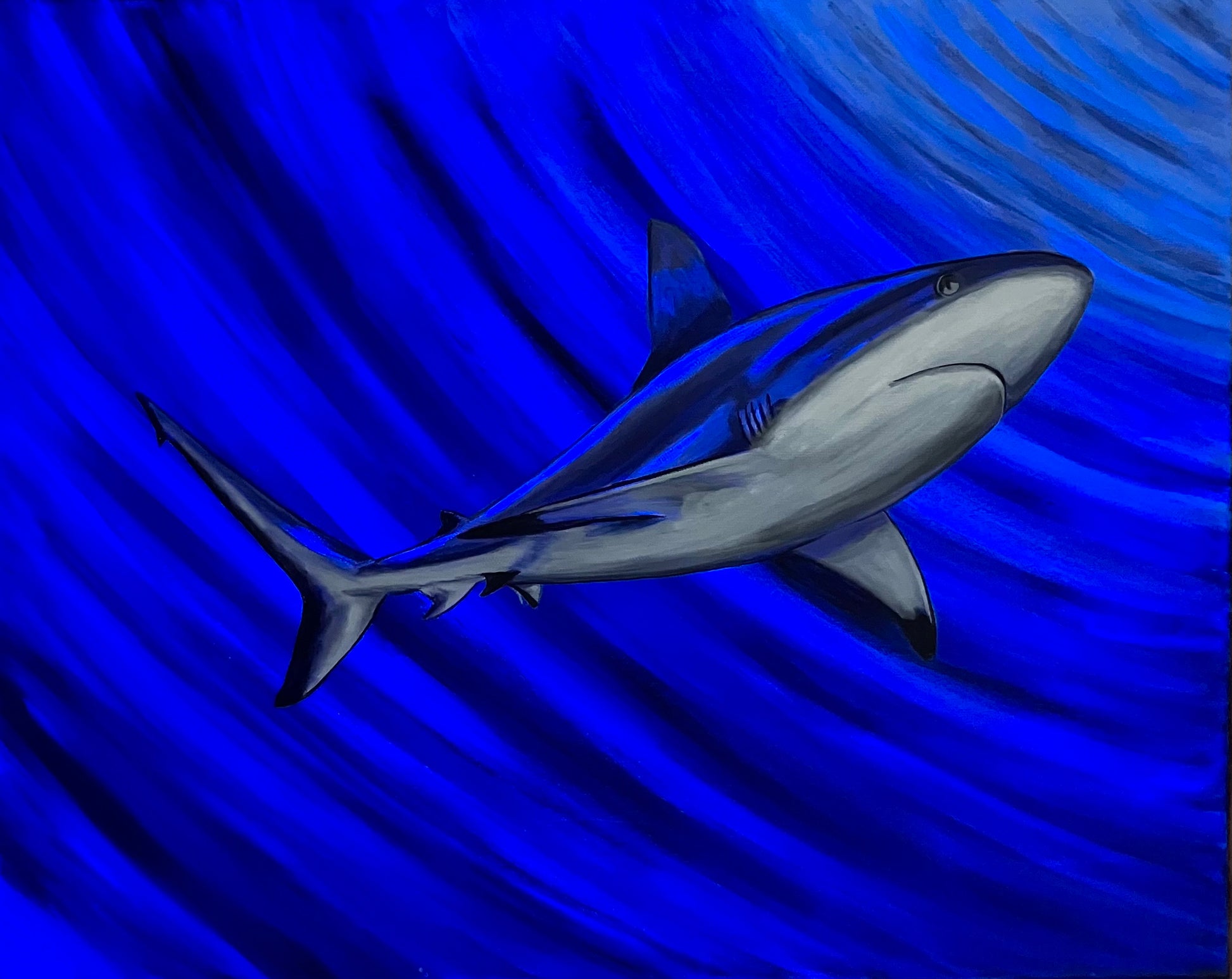 Shark painting 