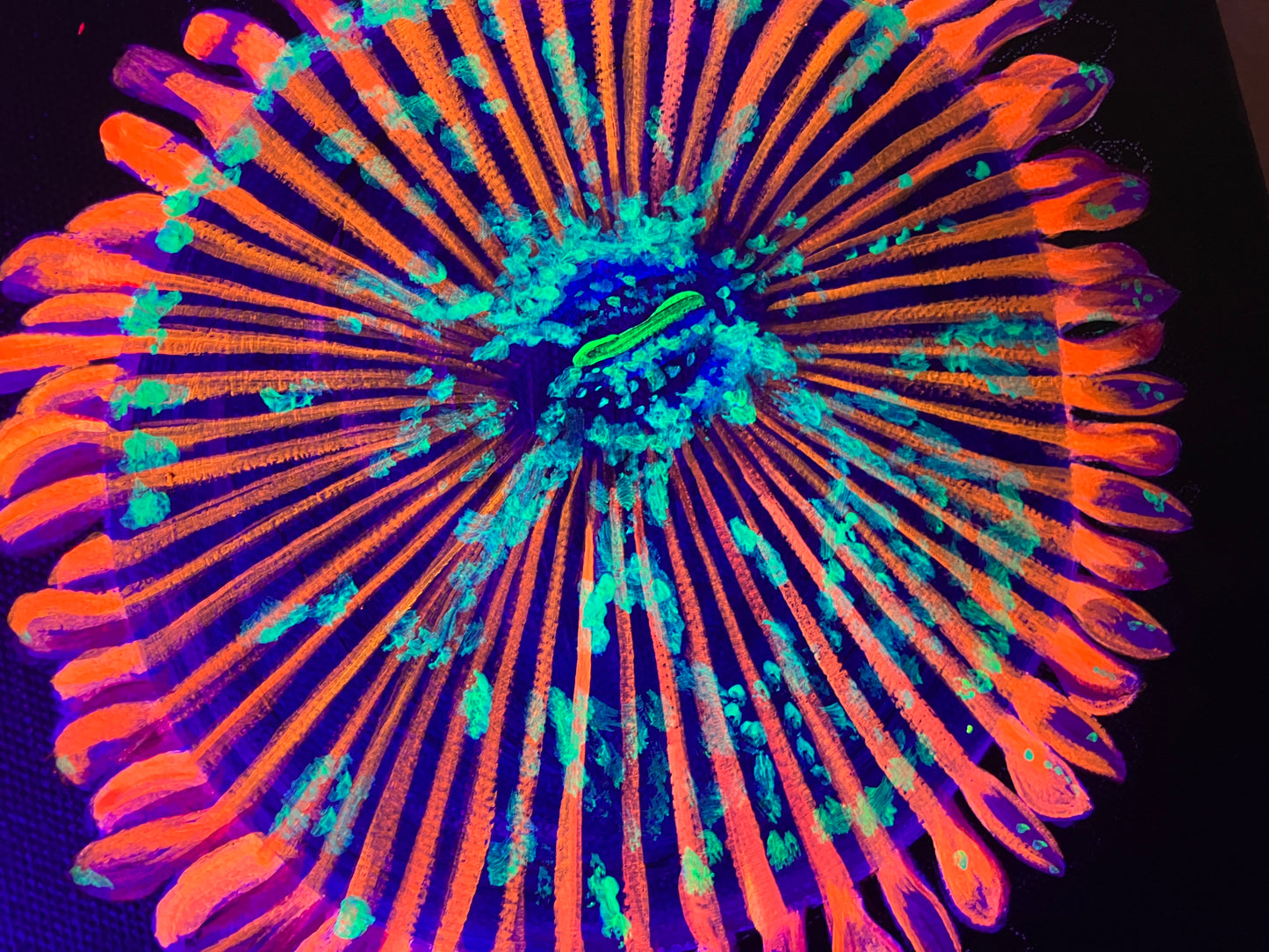 Salted agave black light painting