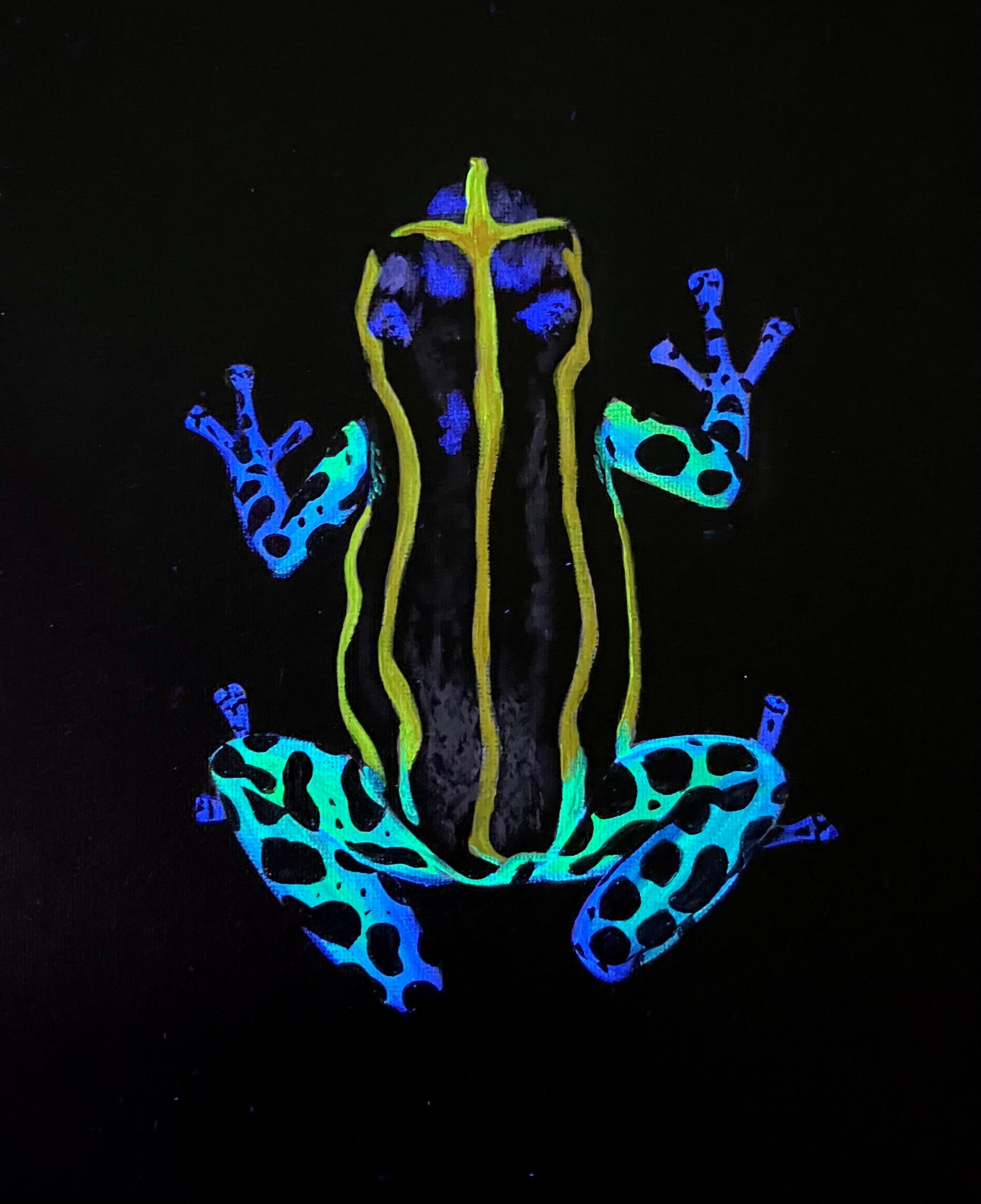Dart frog painting 