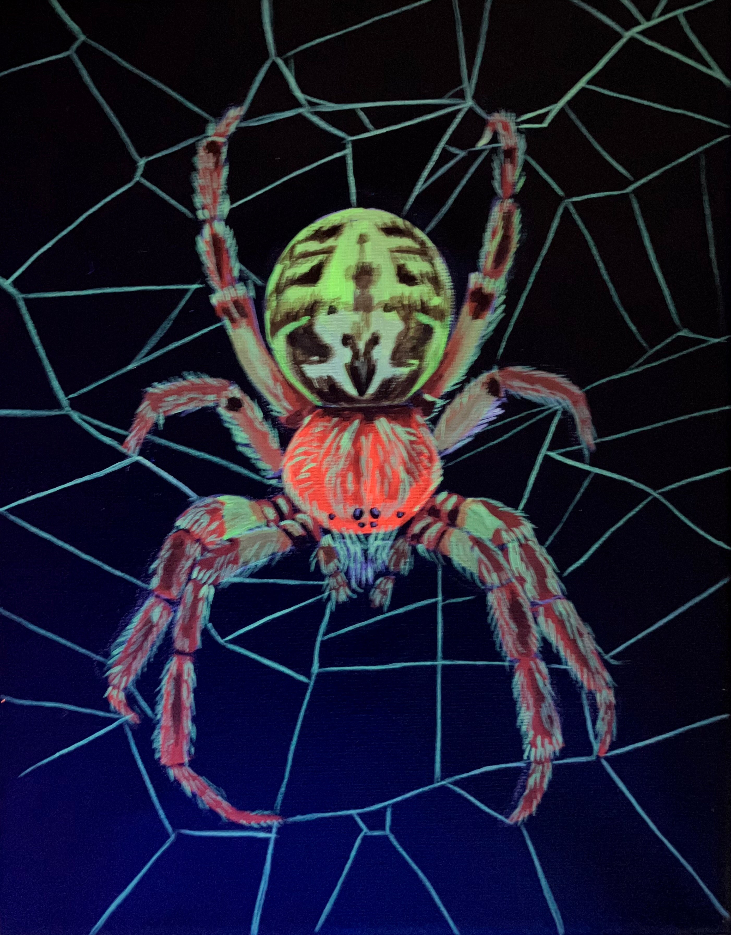 Spider painting 