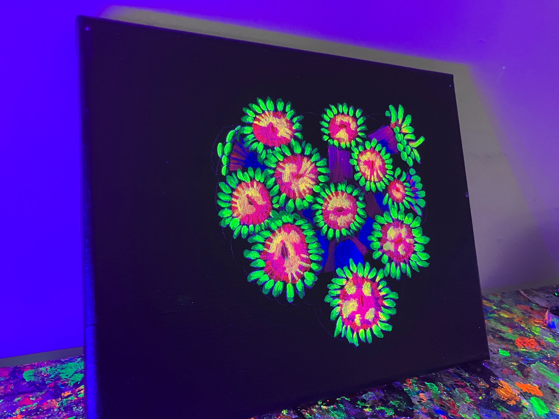 Goniopora painting side view