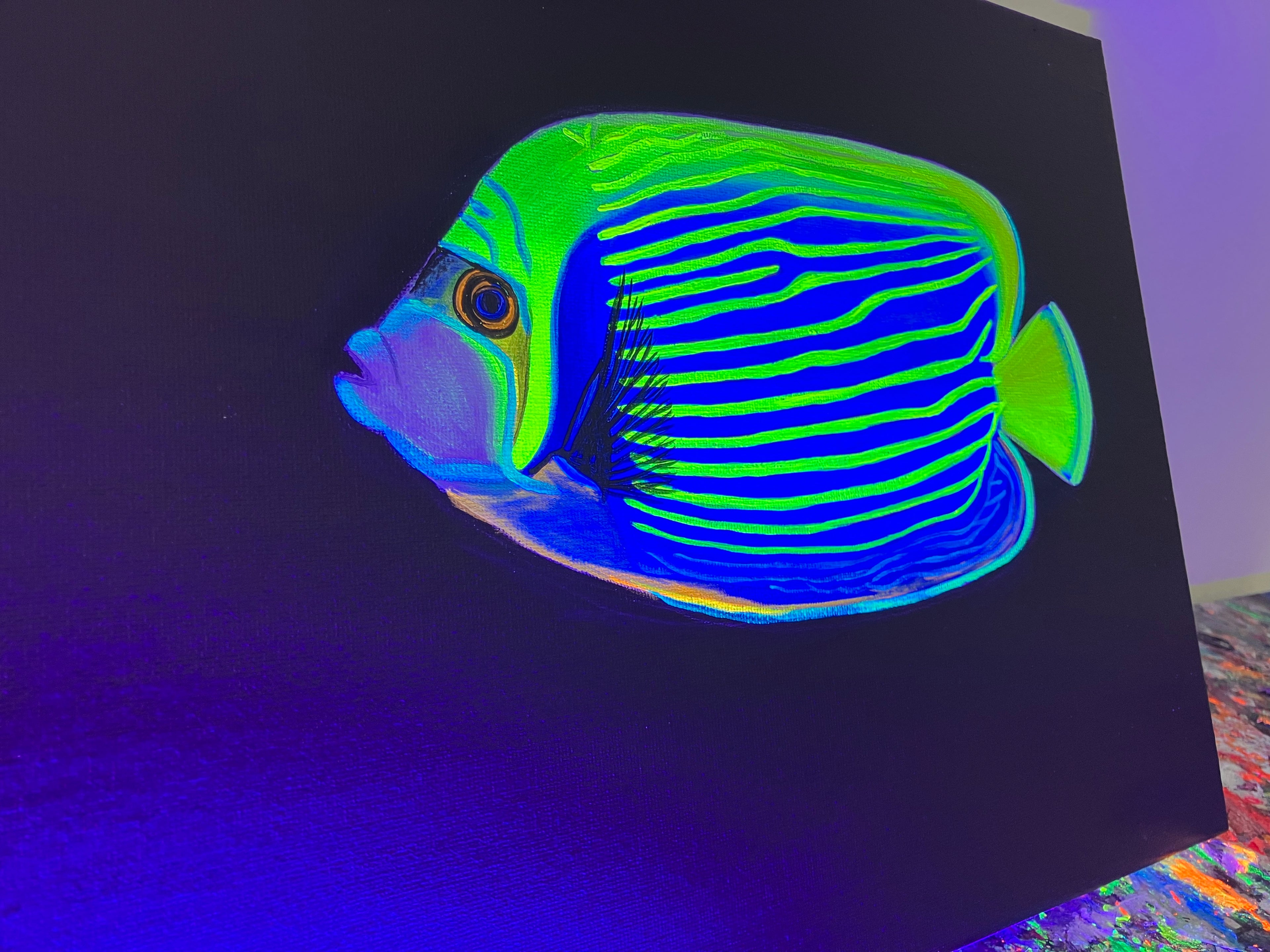 Angelfish black light painting