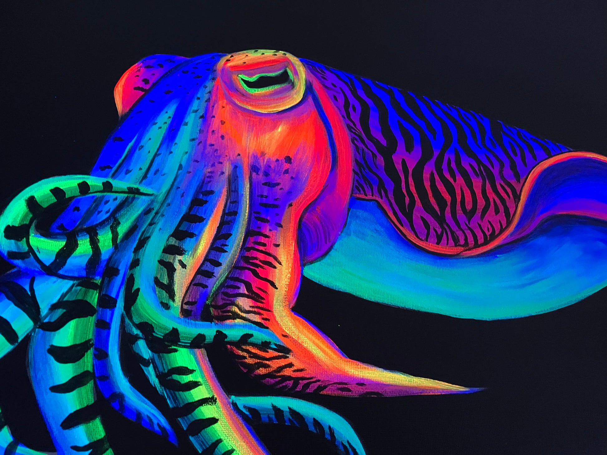 Cuttlefish up close