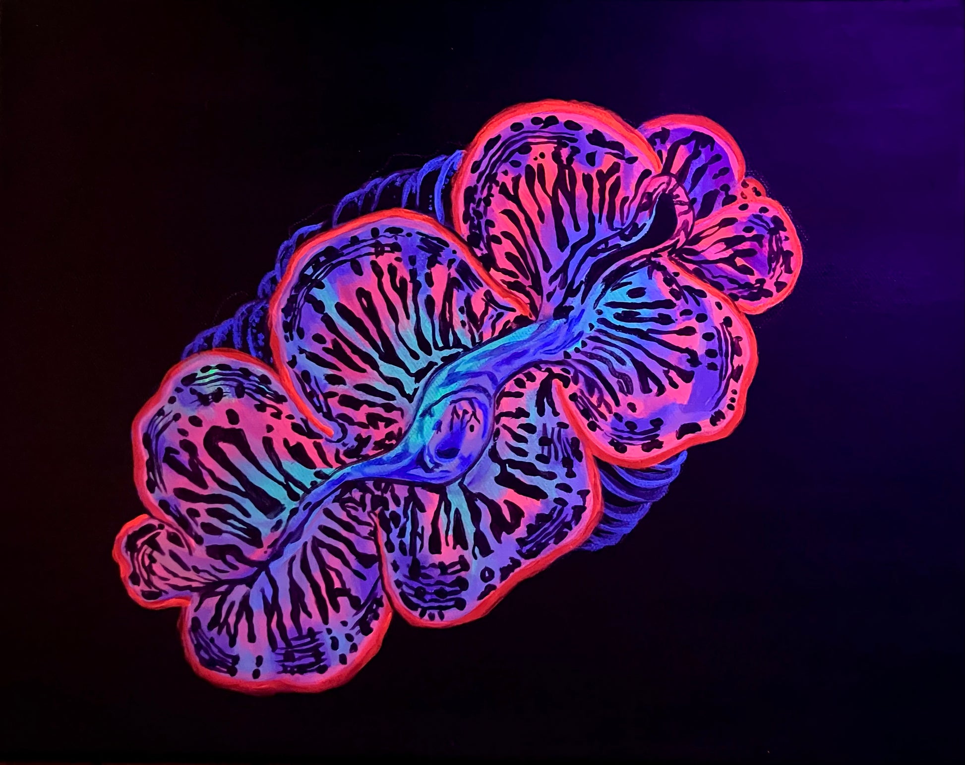 Maximus clam painting 