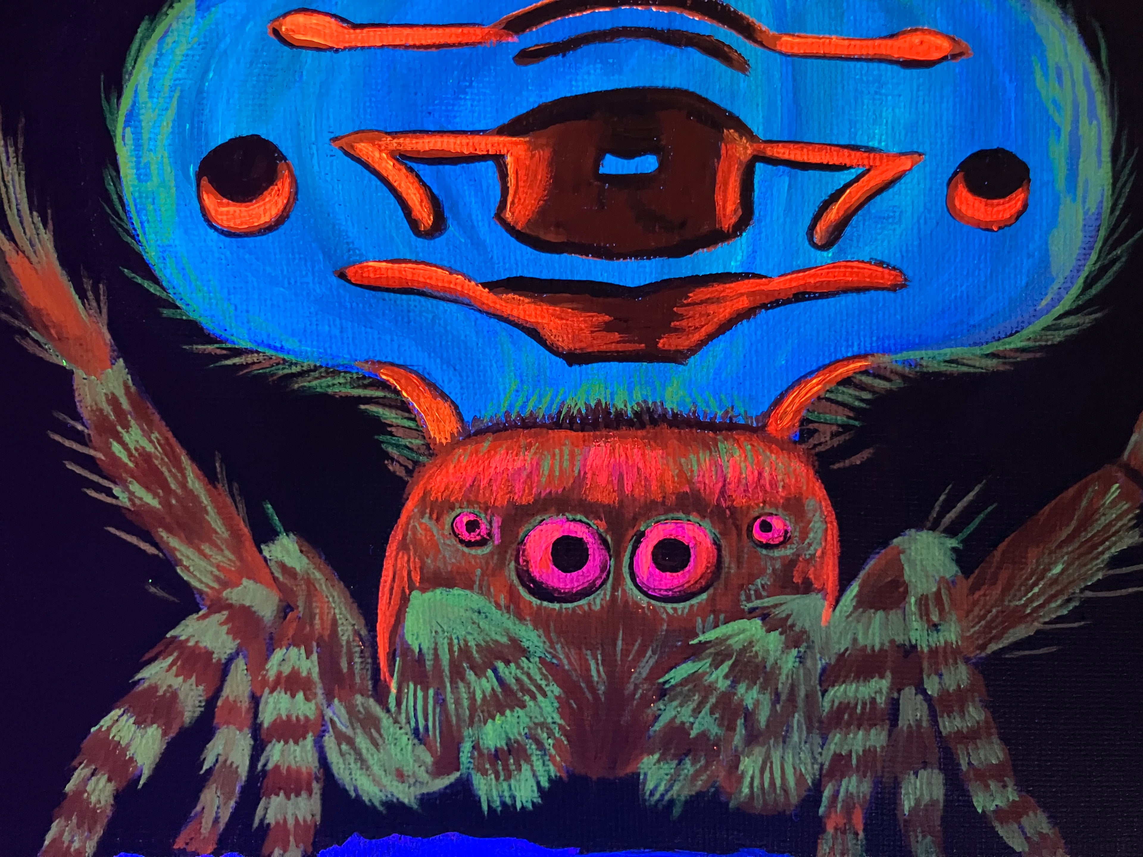 Peacock jumping spider painting