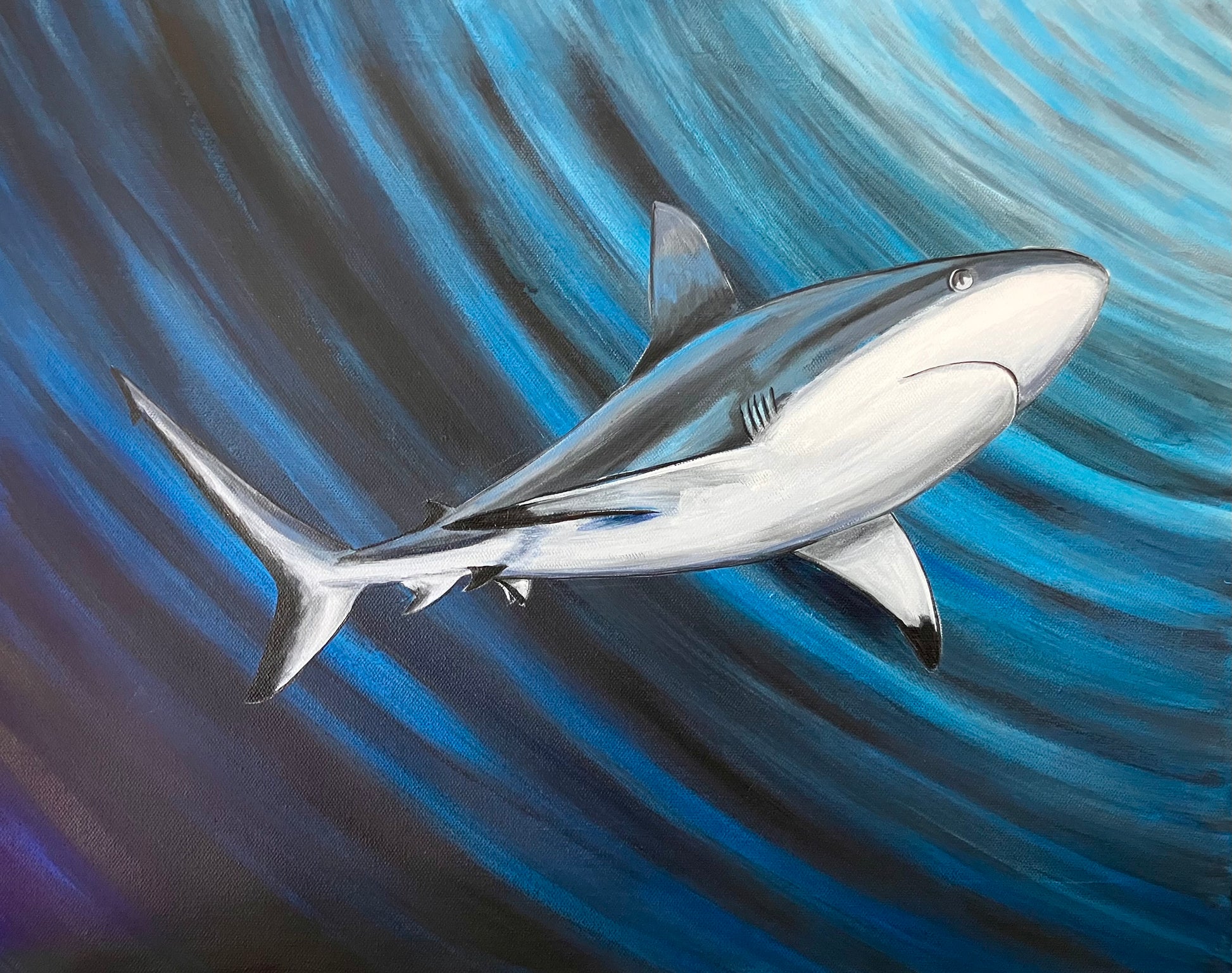 Shark painting regular light