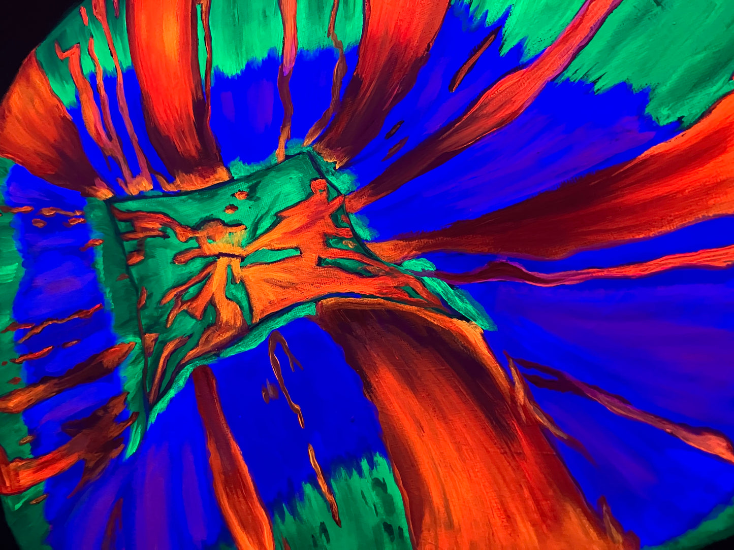 Scolymia painting up close 