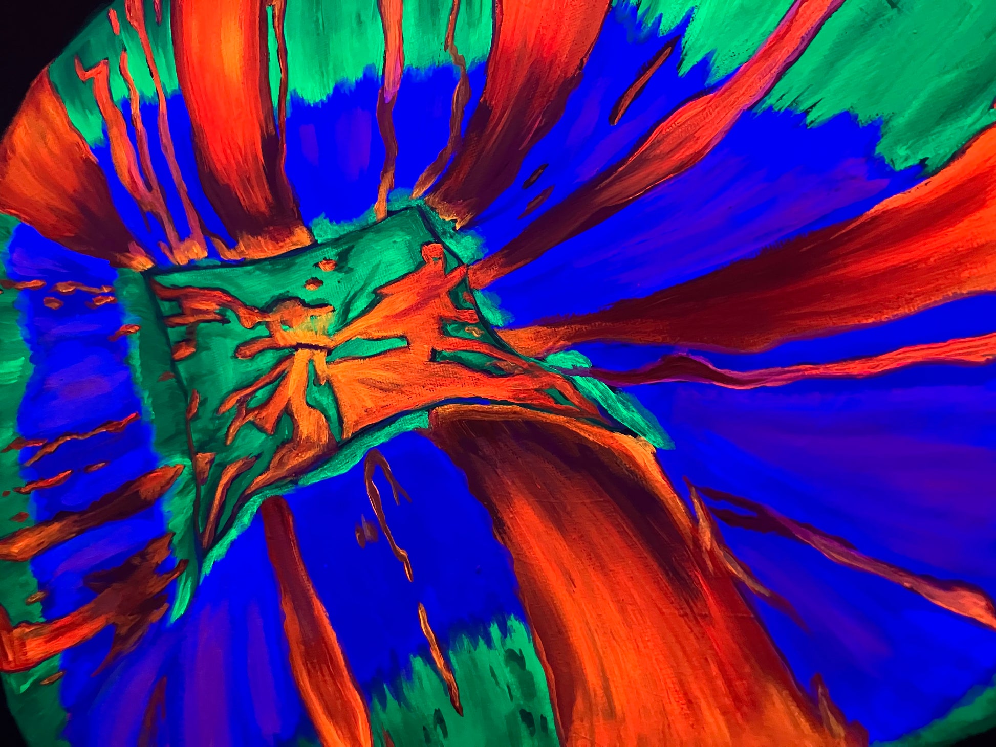 Scolymia painting up close 