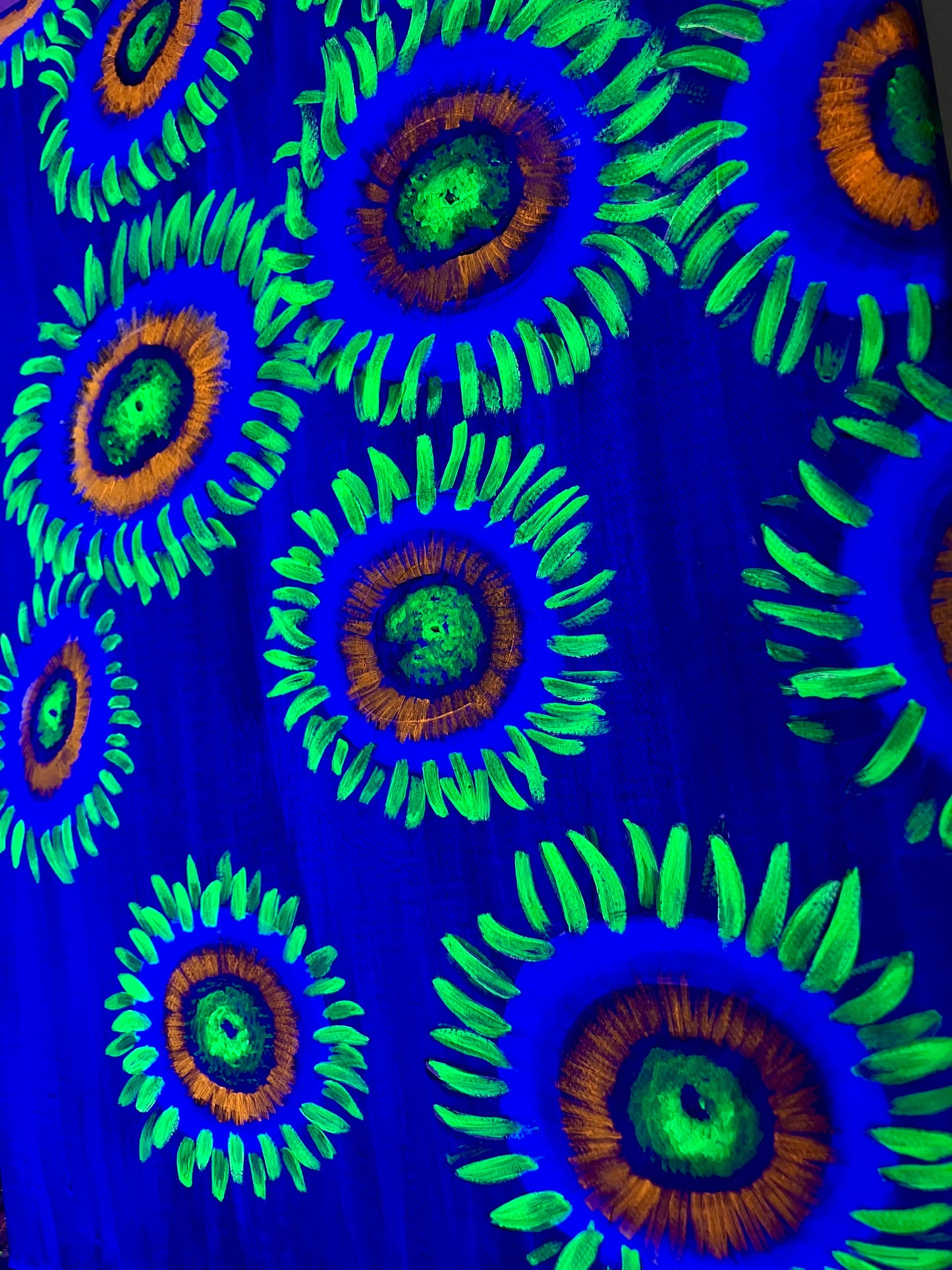 Zoanthid painting up close