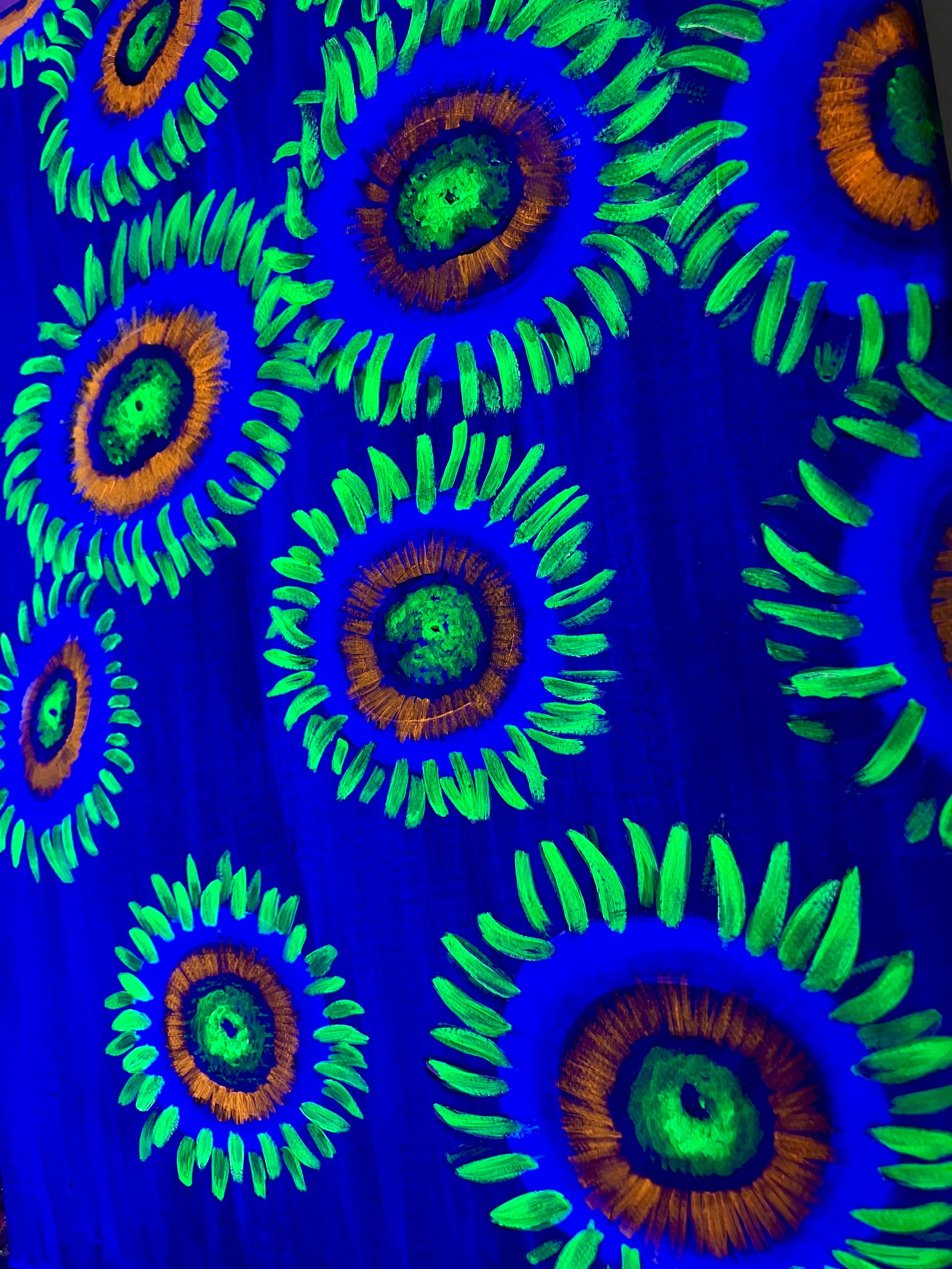 Zoanthid painting up close