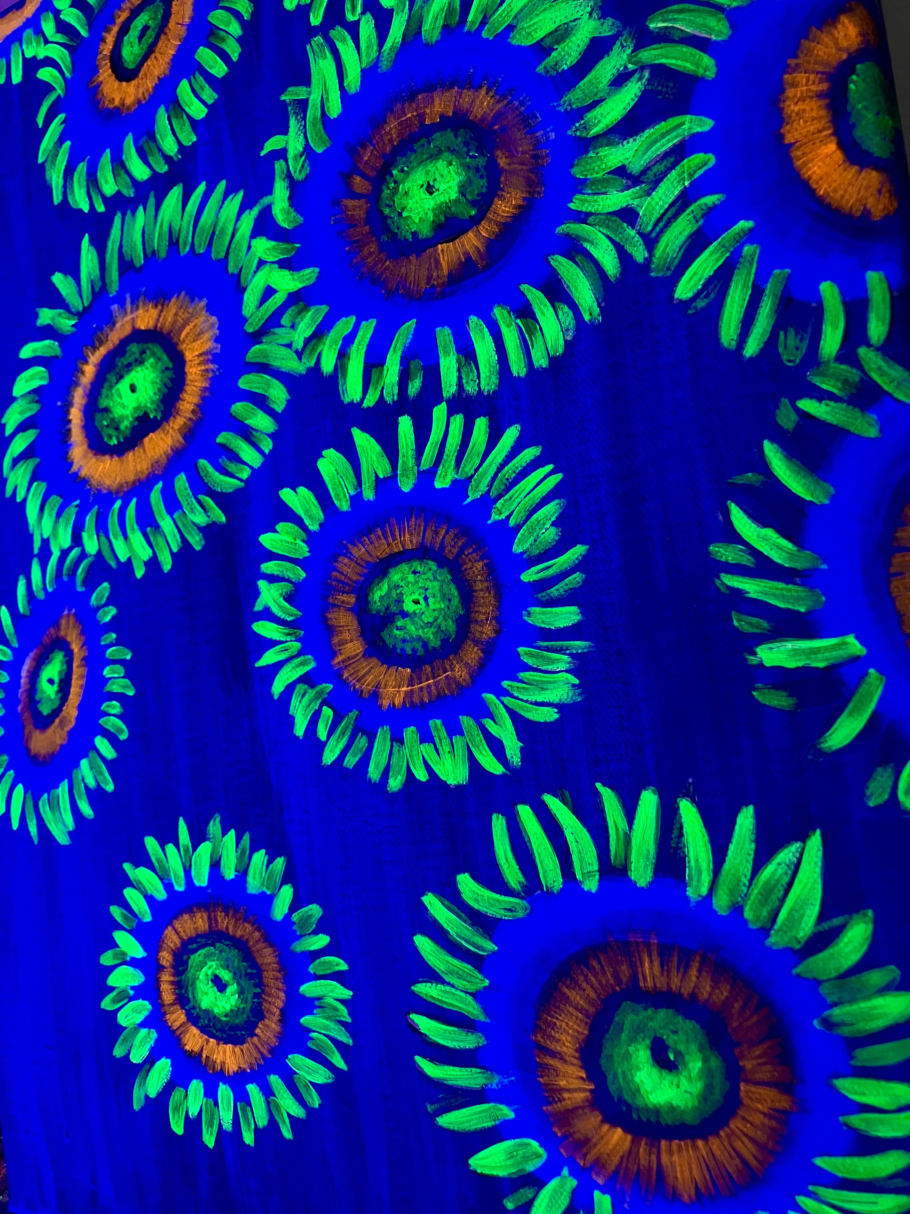Zoanthid painting up close