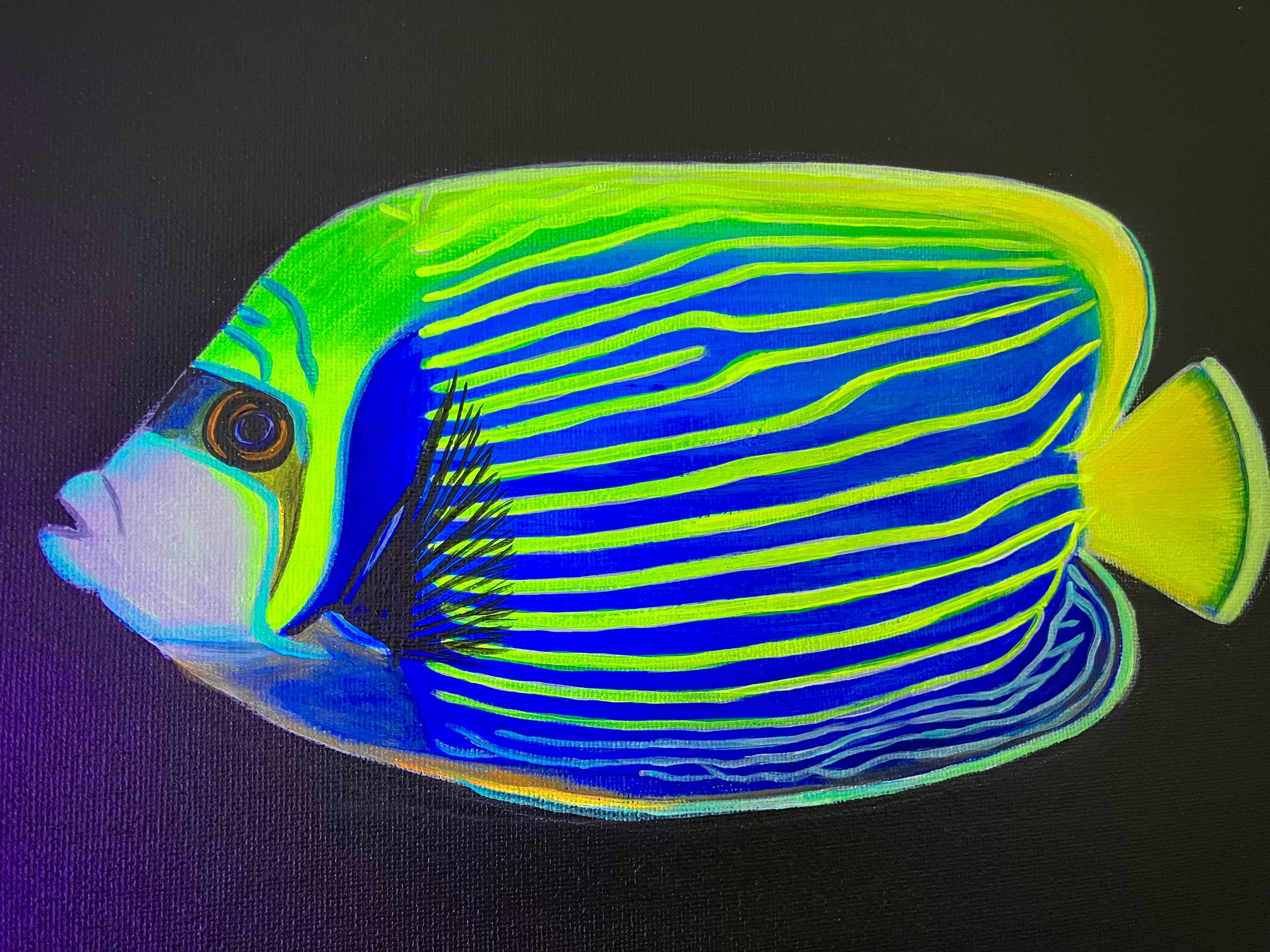 Angelfish black light painting