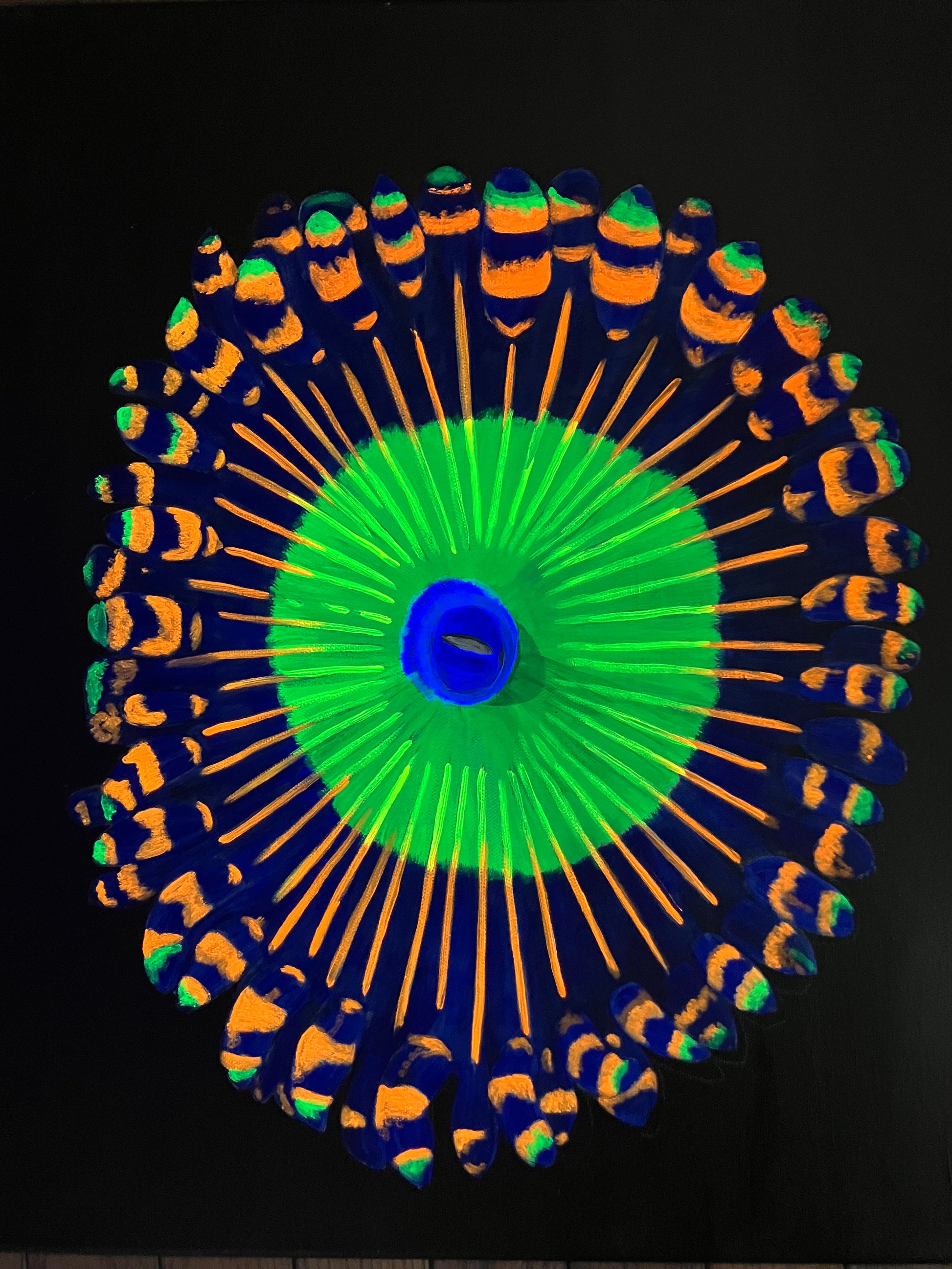 Zoanthid painting 