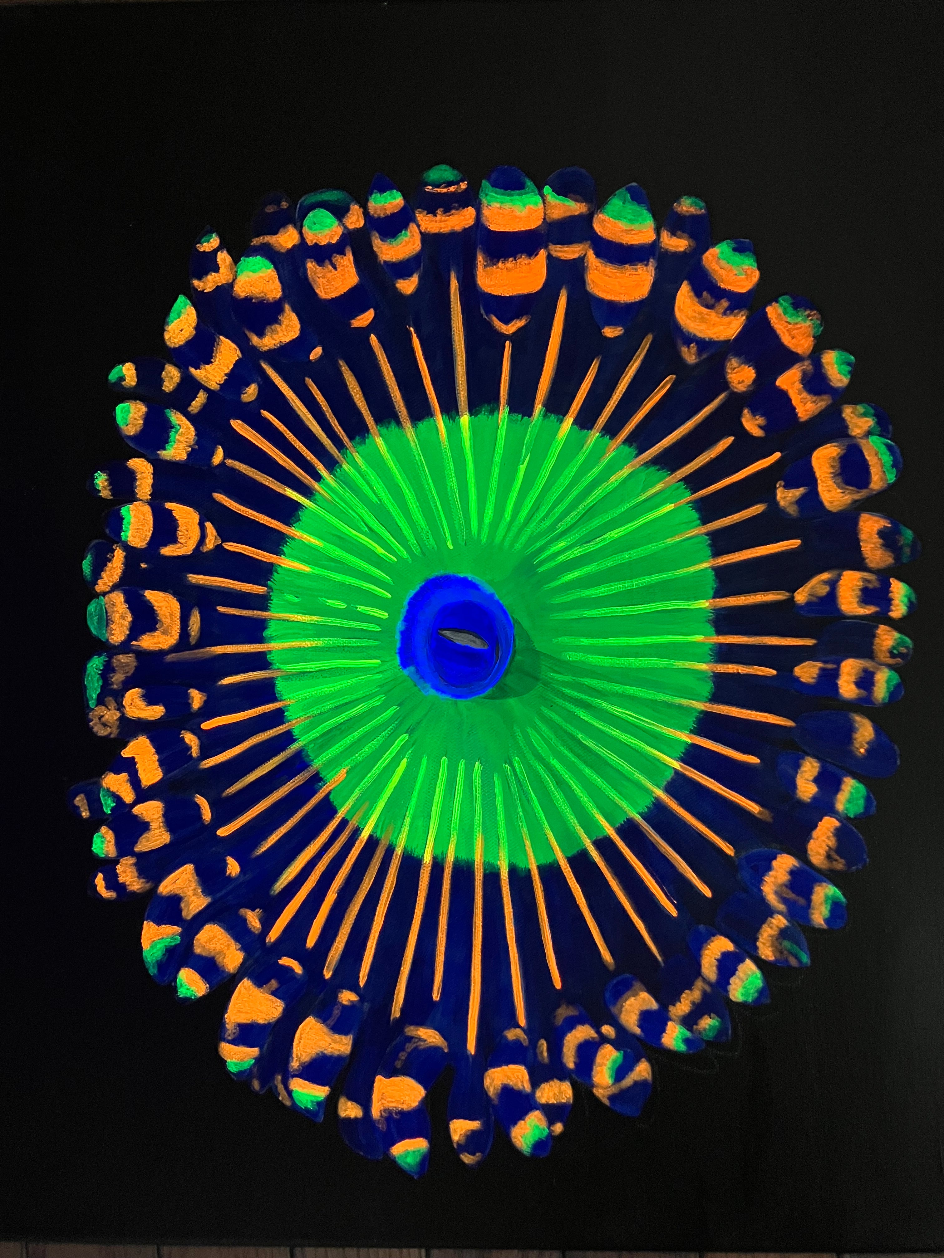 Zoanthid painting 