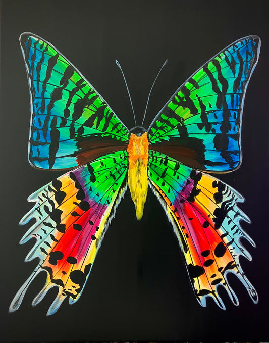 Madagascar Moon Moth art