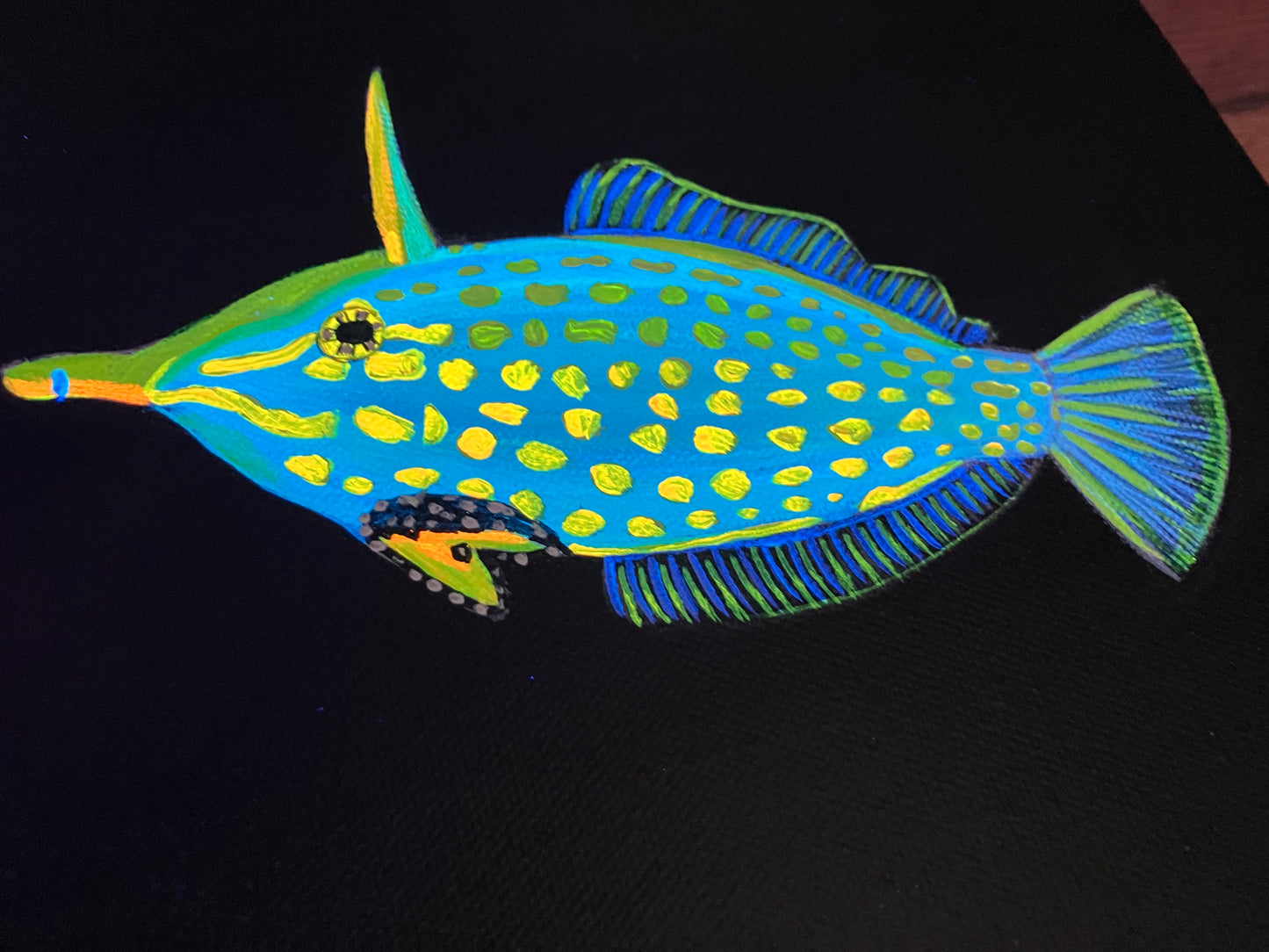 Orange spotted filefish painting