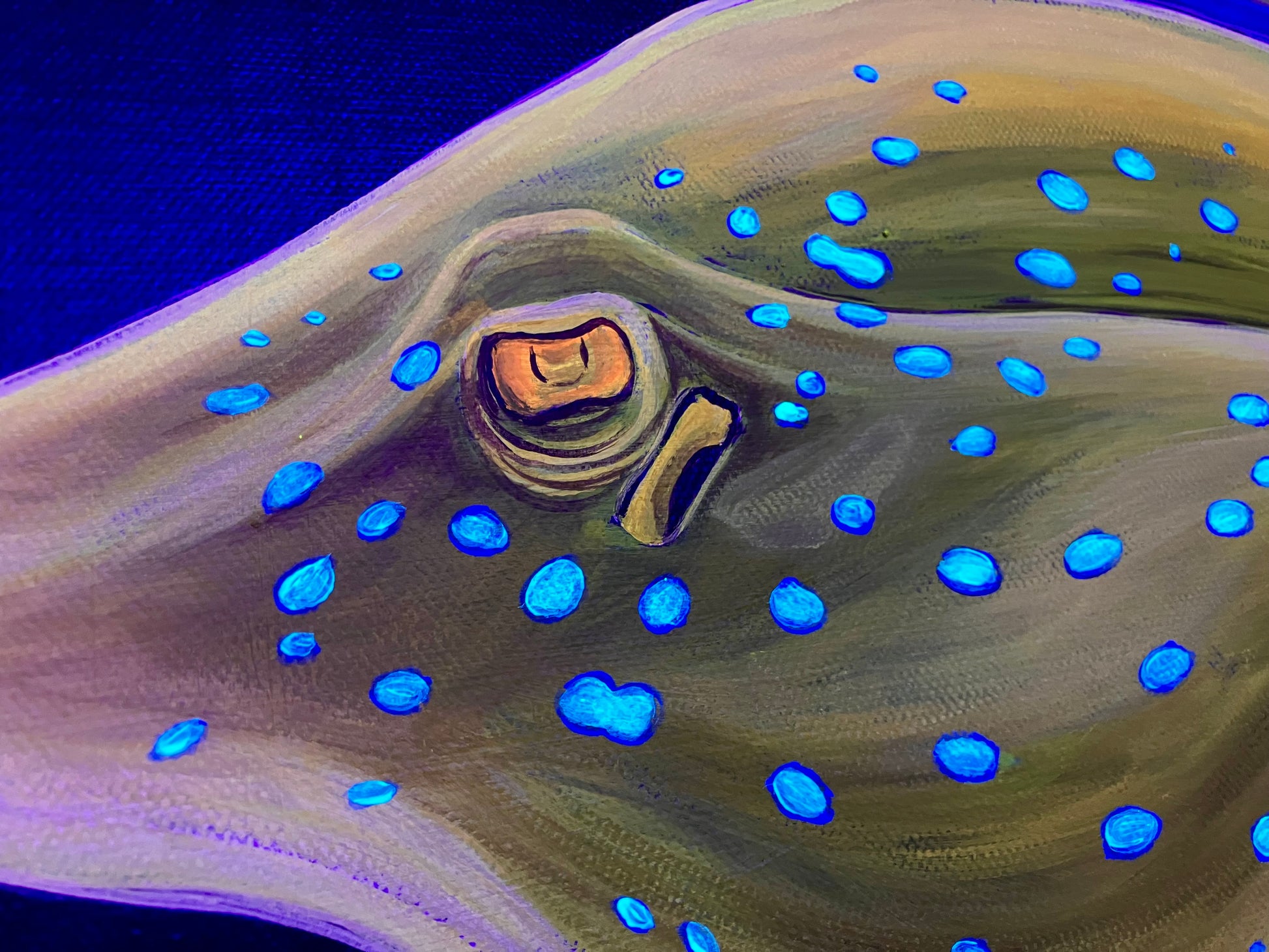 Stingray eye