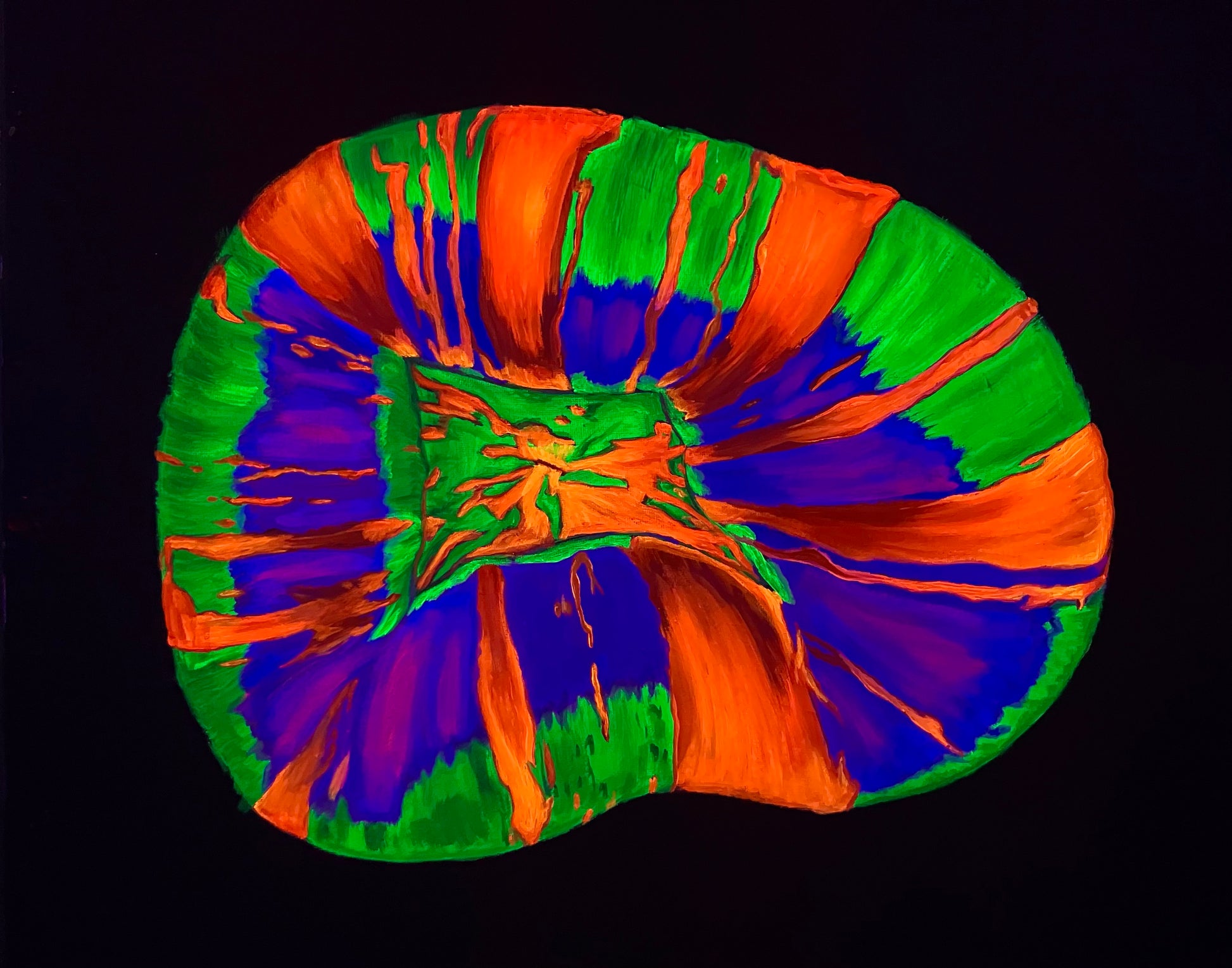 Scolymia painting