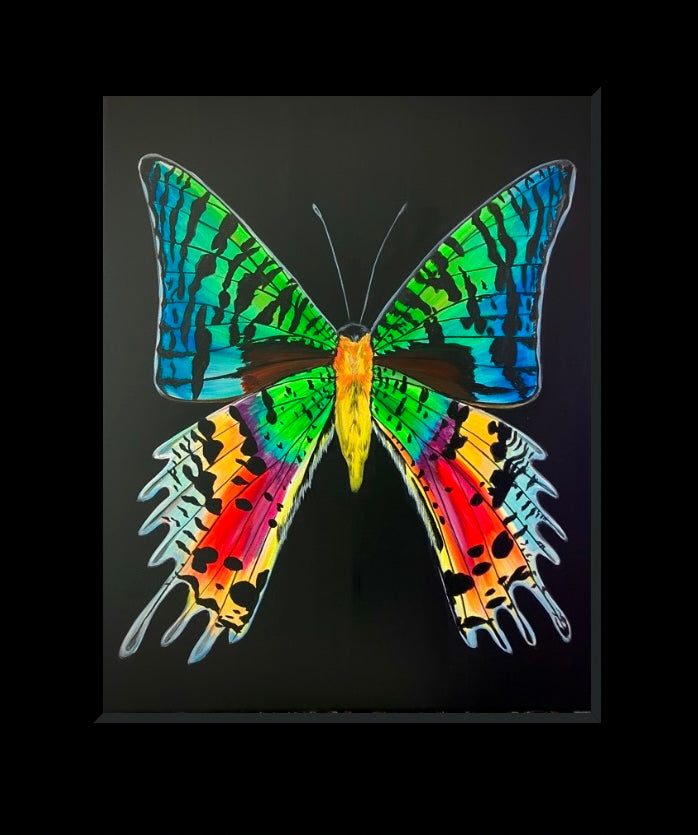 Madagascar Moon Moth art