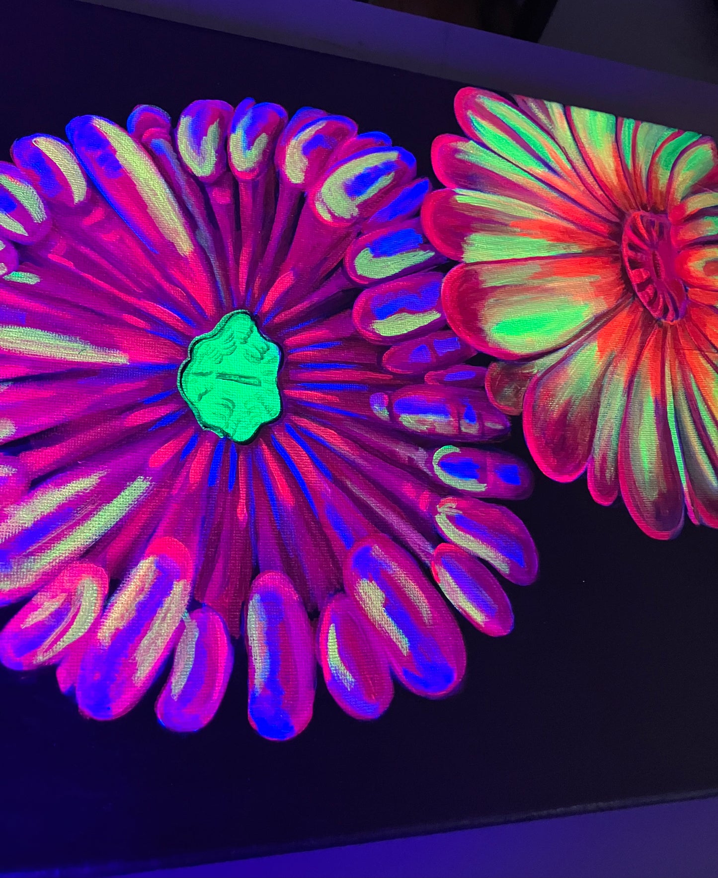Cynarina black light painting side