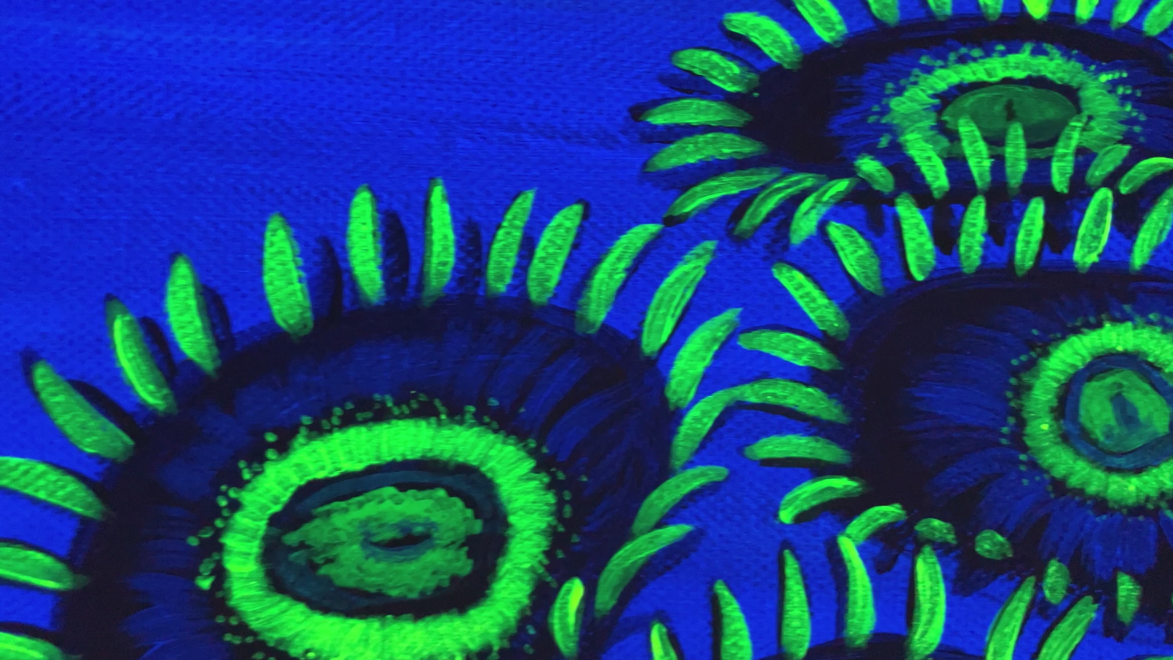 Black light zoanthid painting