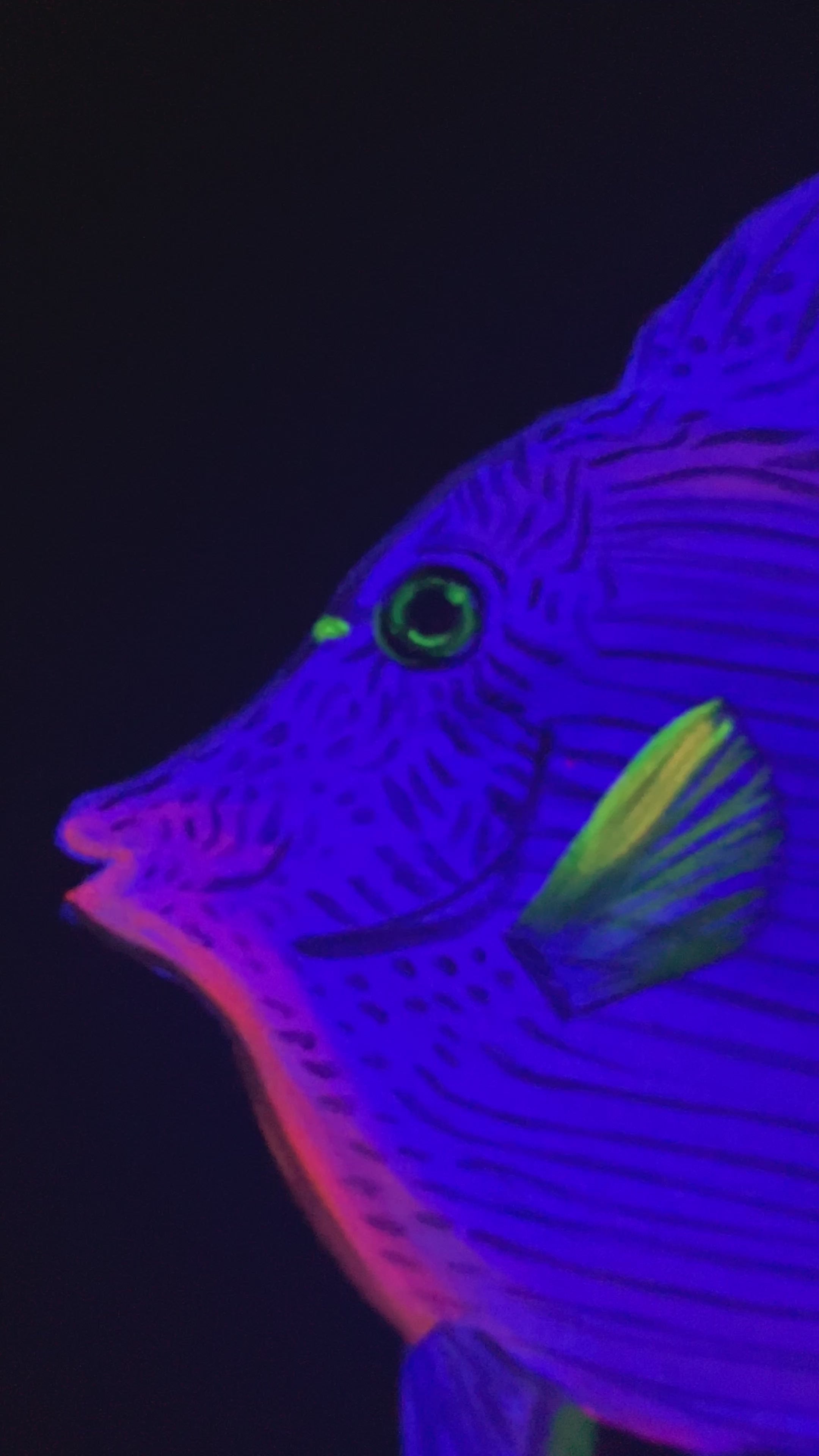 Purple gem tang original black light painting
