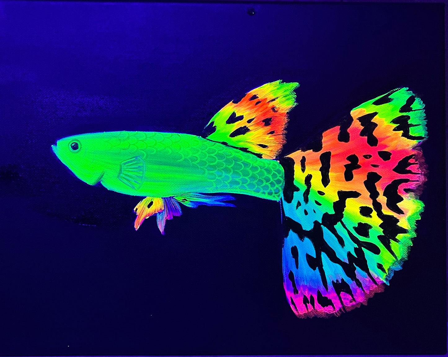 Rainbow blacklight guppy painting 