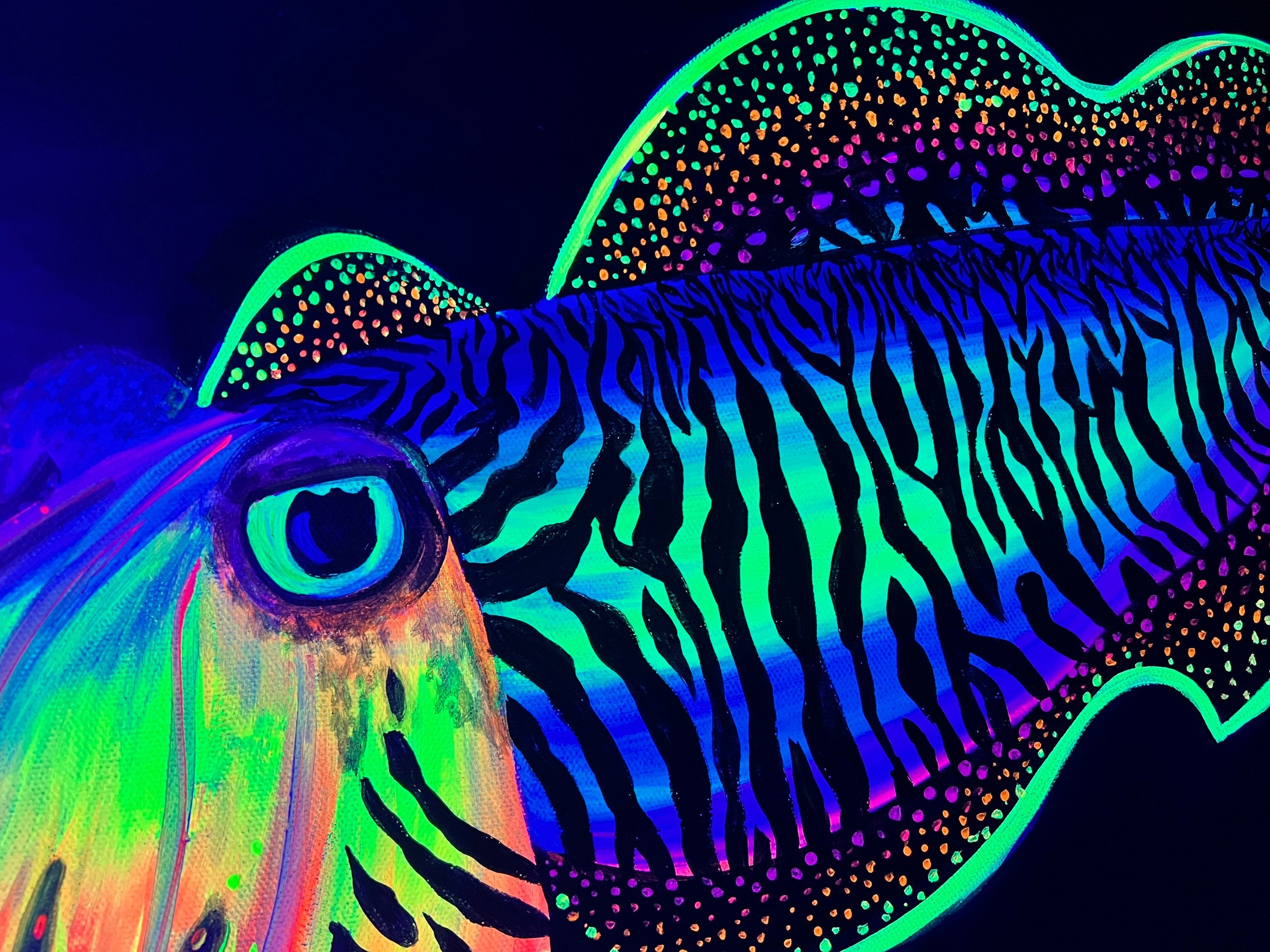 Blacklight Cuttlefish painting